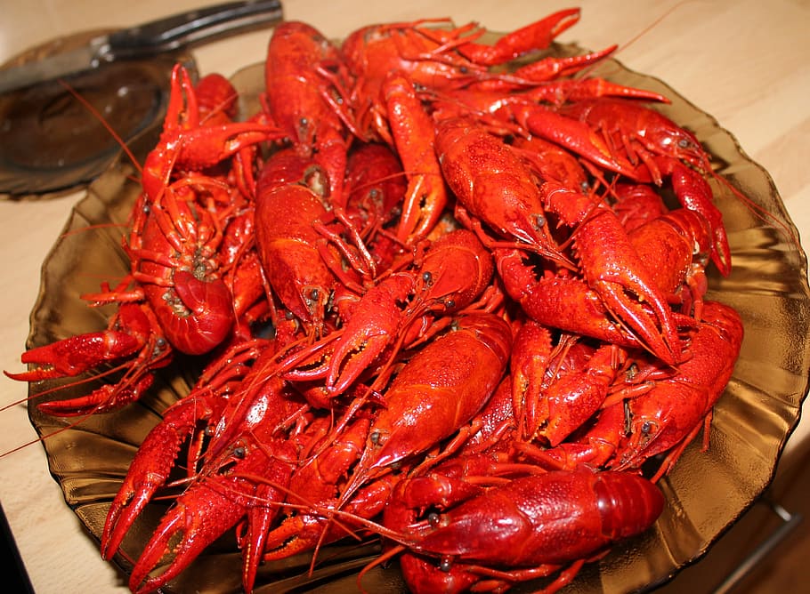 Crayfish, Chinese Crayfish, seafood, food and drink, crustacean HD wallpaper
