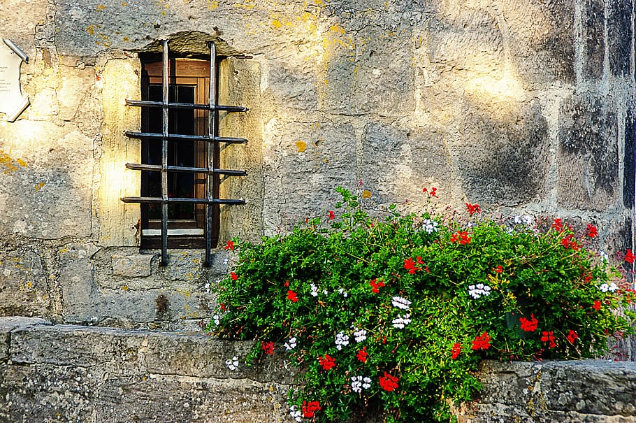 gray bricked wall beside green and red plants, window, grate HD wallpaper