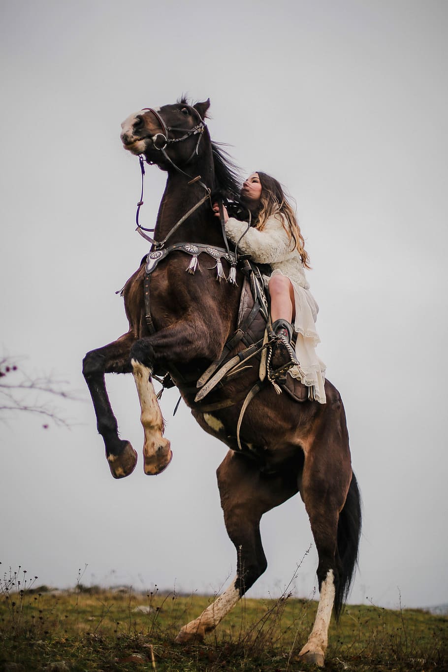 Gül Kurtaran, woman riding horse, rear up, hind legs, scared, HD wallpaper