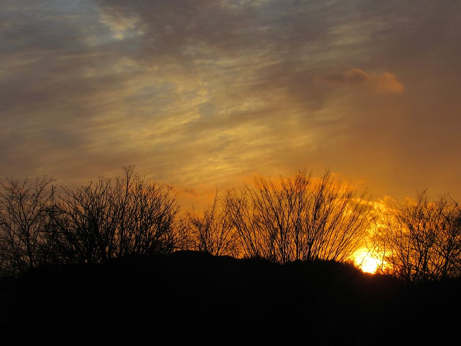 Evening, Sunset, Sky, evening sky, afterglow, clouds, silhouette HD wallpaper