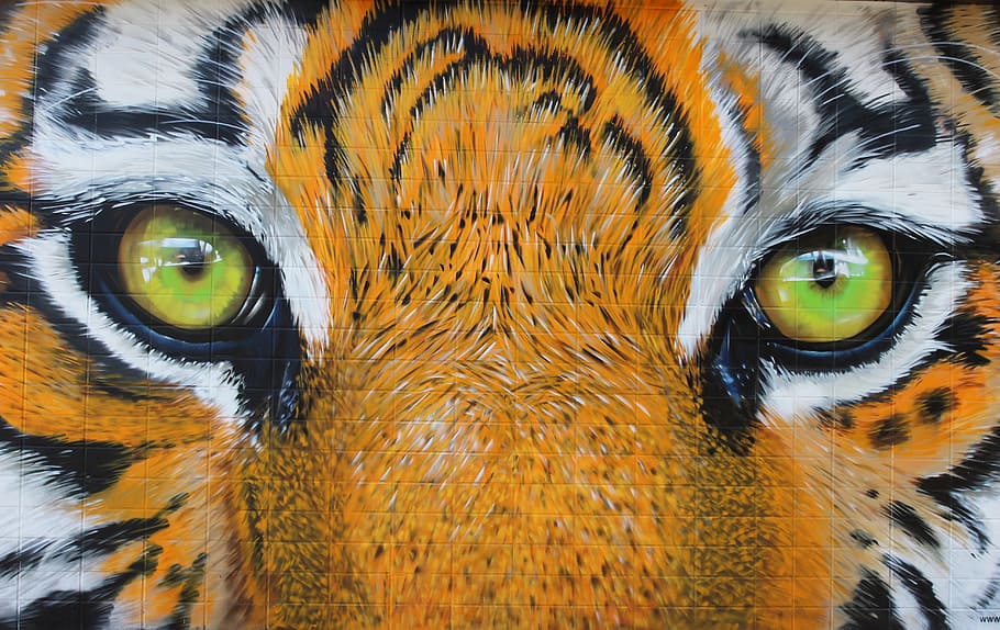 close-up photo of tigers eye painting, eyes, predator, tiles, HD wallpaper