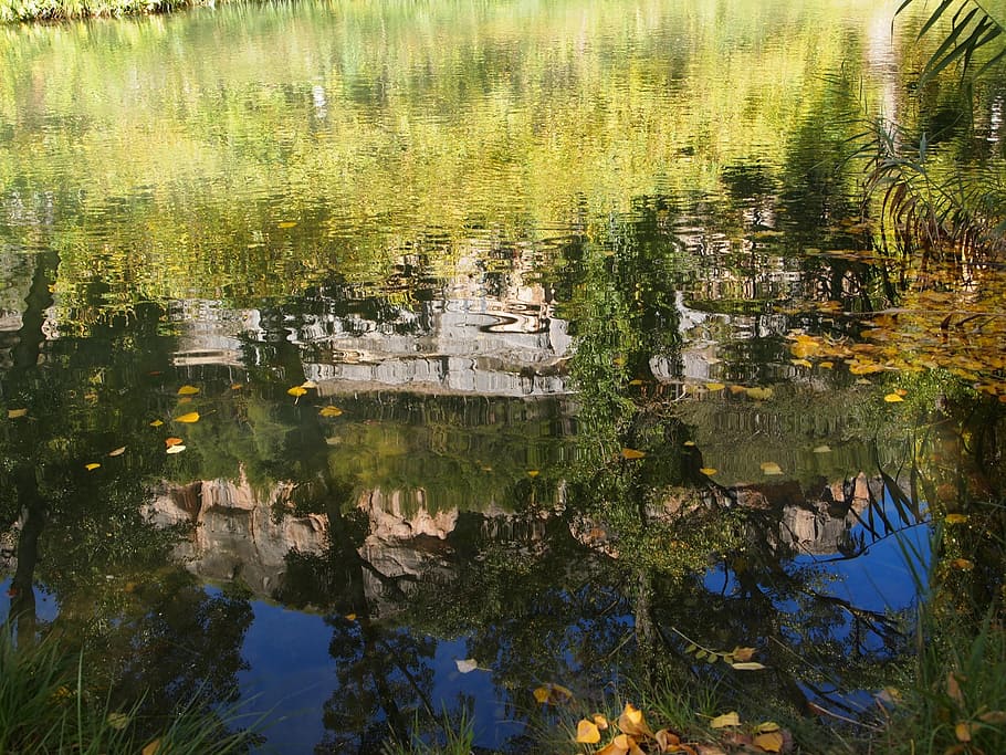 river, reflection, shore, trees, water, stones, rocks, landscapes HD wallpaper