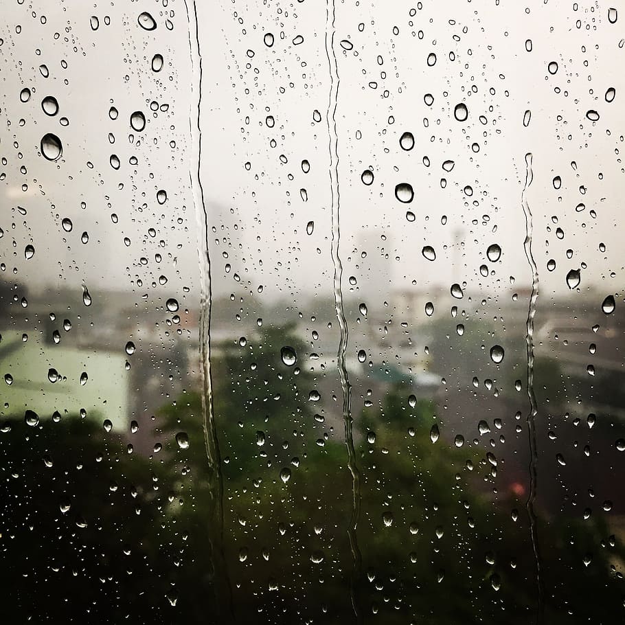 raindrops, sprinkler, grain rain, wet, water, window, transparent HD wallpaper