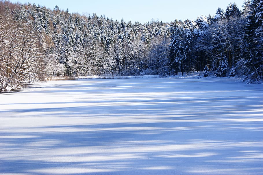 lake, winter, trees, snow, sky, blue, frozen, nature, forest HD wallpaper