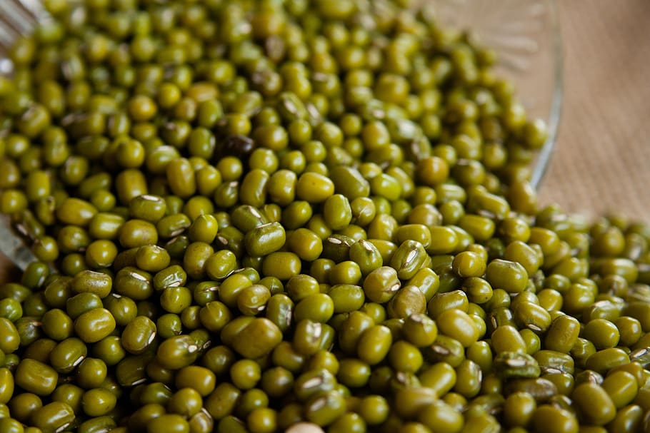 mung beans, moong beans, green gram, golden gram, food and drink, HD wallpaper