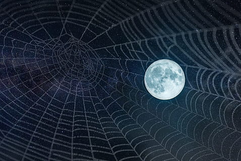 cobweb and full moon digital wallpaper, stars, night, twilight HD wallpaper