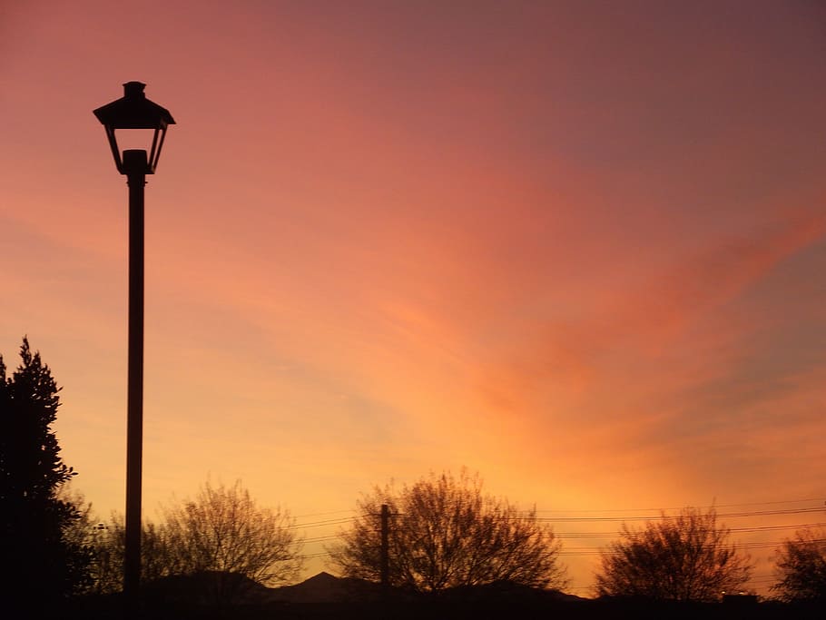 Sunset, Silhouette, Trees, Lamp, branches, leaves, horizon HD wallpaper