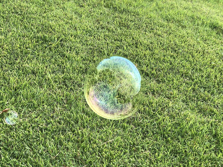 bubbles, natural, park, landscape, grass, plant, green color HD wallpaper