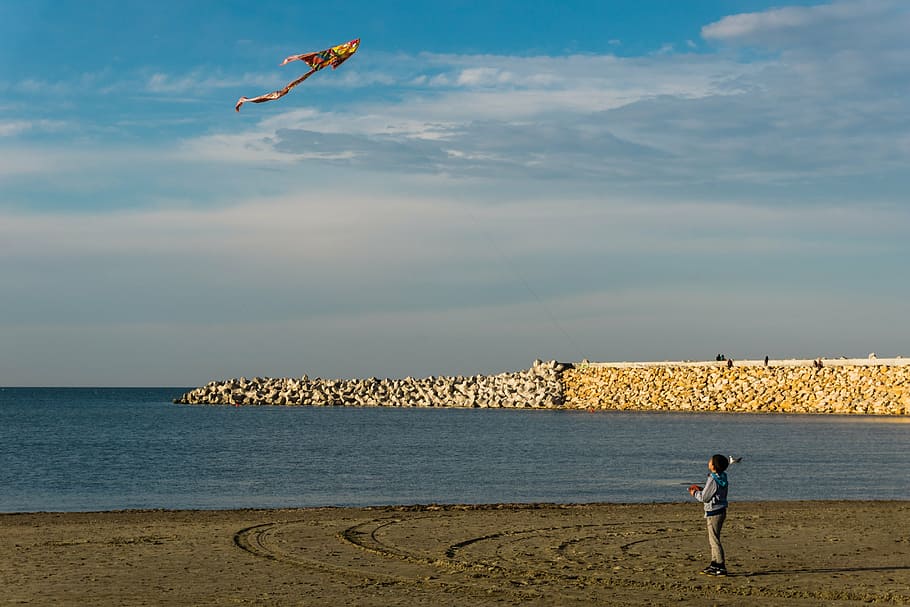 beach, kite, child, dig, great, gravel, birds, clams, water HD wallpaper