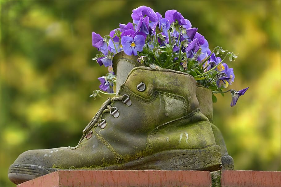 selective focus photography of purple flowers on green boot HD wallpaper
