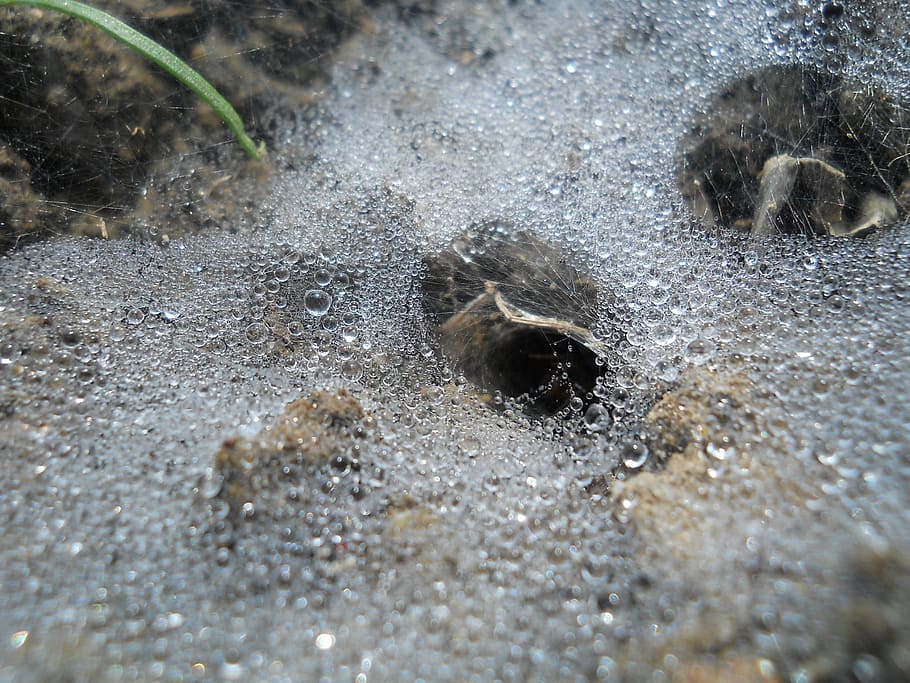 cloth, rain, place, drop, dew, den, nature, water, supplies HD wallpaper