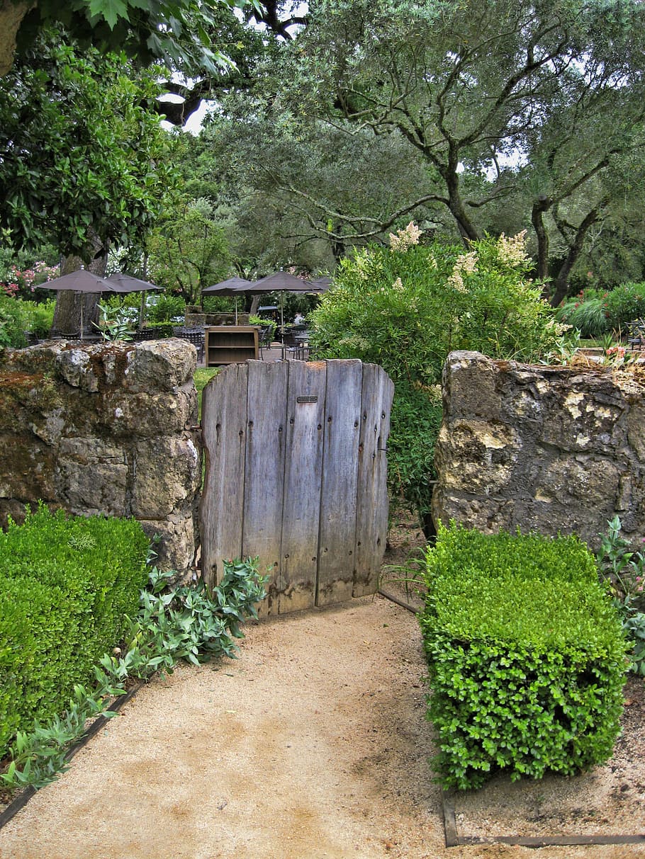 brown wooden gate mounted on concrete wall towards garden, rustic HD wallpaper