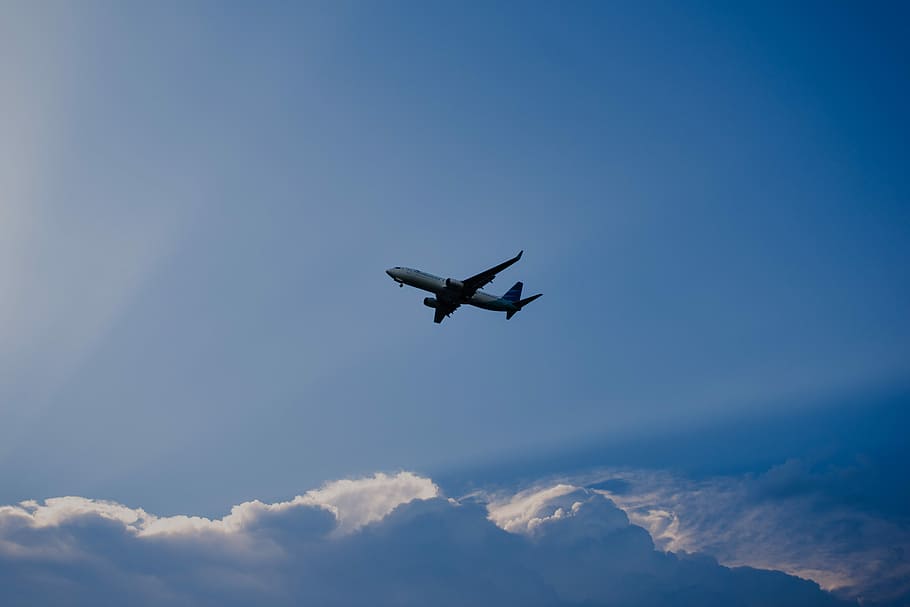 airplane flying under blue sky, low angle photo of gray and white plane flying under blue sky HD wallpaper