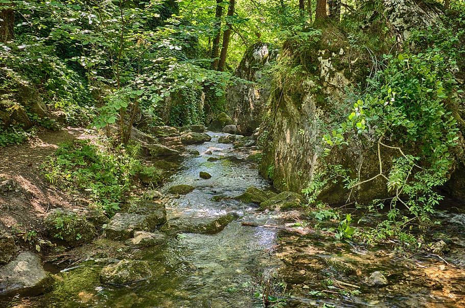 river flowing between green plants, Bach, Idyllic, Rock, Splash HD wallpaper