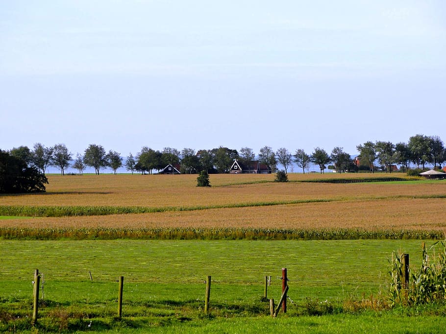 Netherlands, Landscape, Fields, Farm, rural, trees, crops, fence HD wallpaper