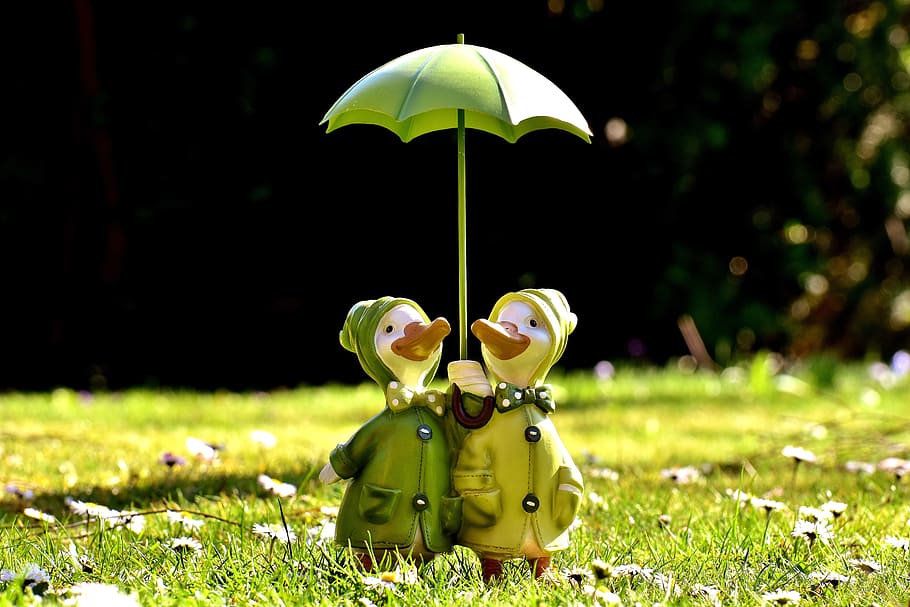 two ducks under green umbrella patio decor, figures, parasol HD wallpaper