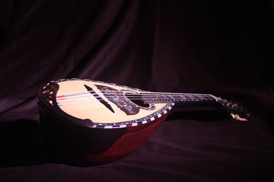 mandolin, jean, string music, studio shot, indoors, single object HD wallpaper