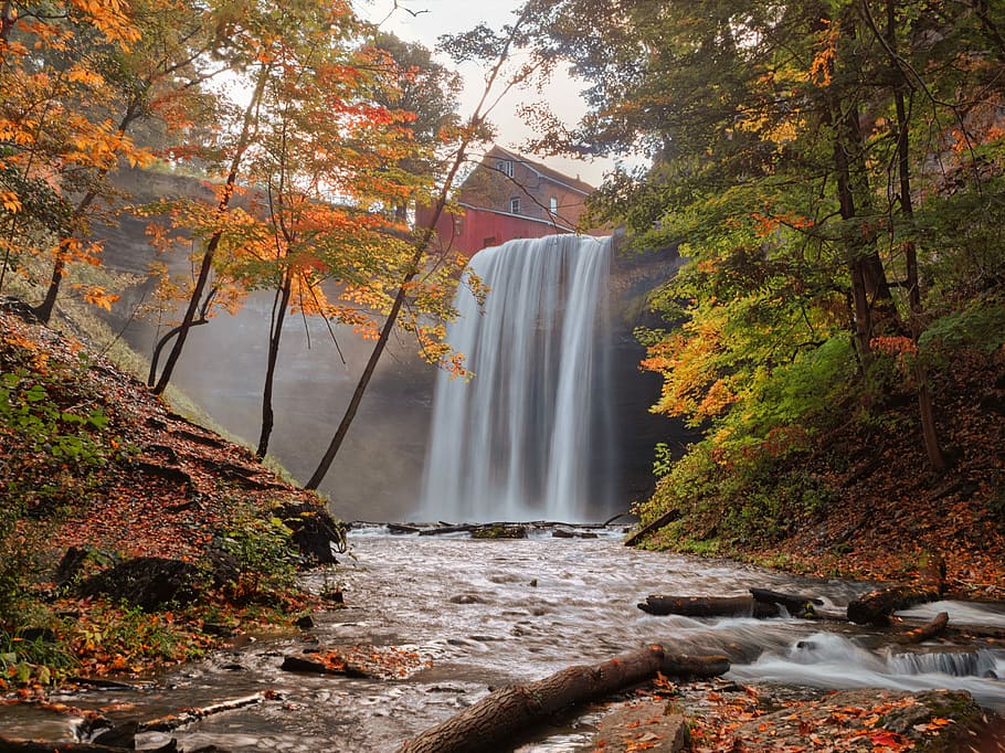 waterfalls between green and orange leaf trees, landscape photo of waterfalls flowing between tree-covered hills with view of orange and red house HD wallpaper