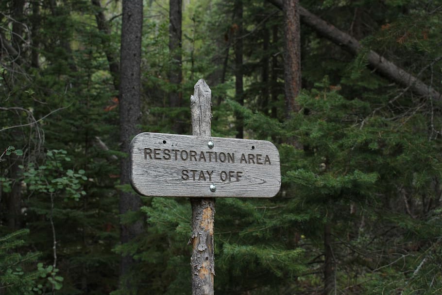 No Trespassing, Restoration Are Stay Off road signage, wooden sign, HD wallpaper
