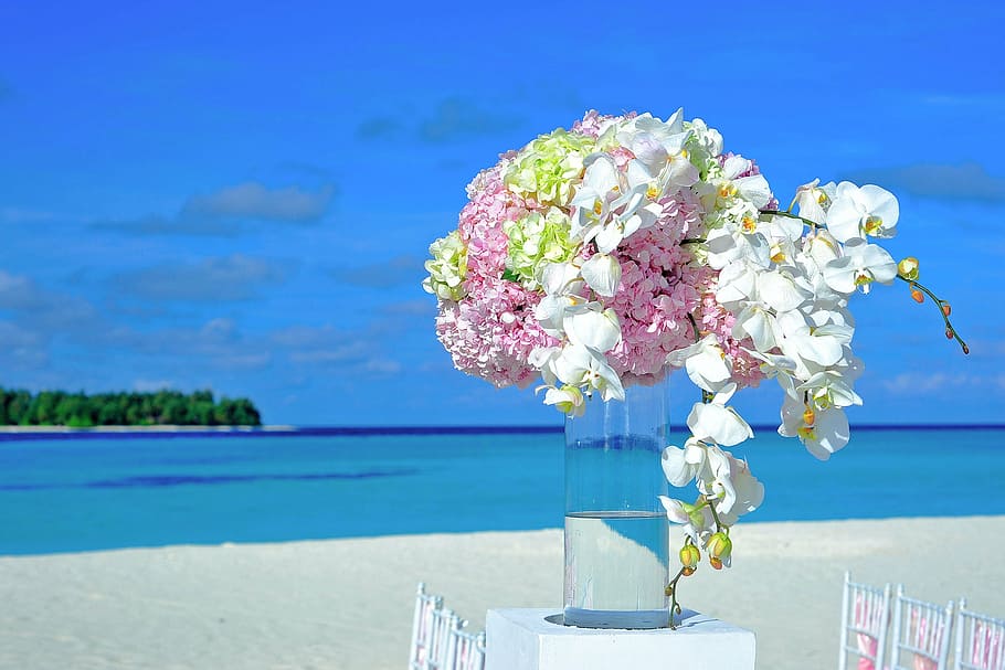 white and pink flowers decor, atoll, decorations, destination, HD wallpaper