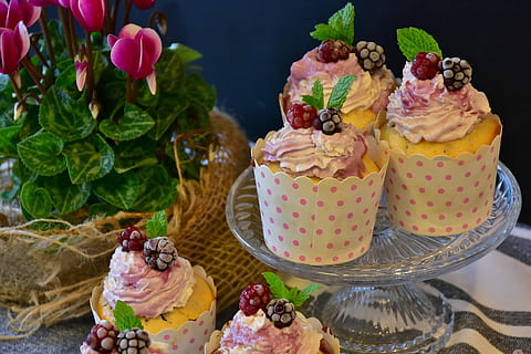 cupcakes with berry on top, muffin, candy, tart, cake decorations HD wallpaper