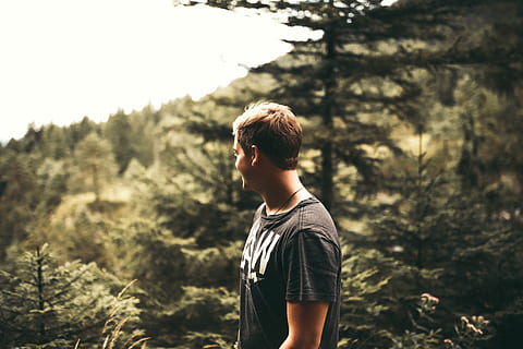 nature, man, person, forest, adult, boy, casual, conifers, fir trees HD wallpaper