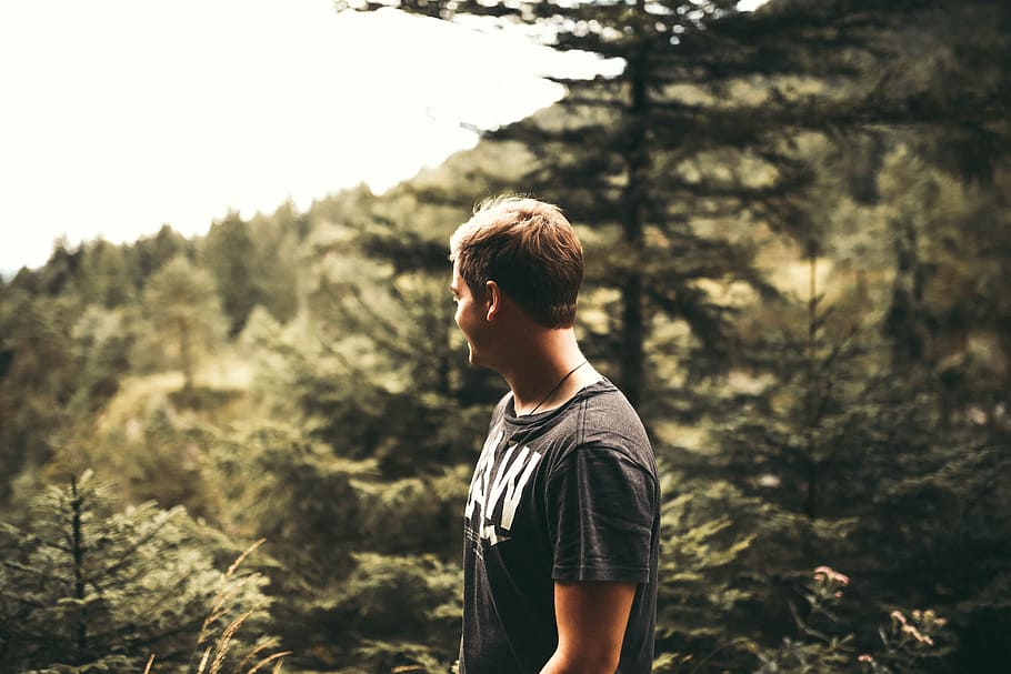 nature, man, person, forest, adult, boy, casual, conifers, fir trees HD wallpaper