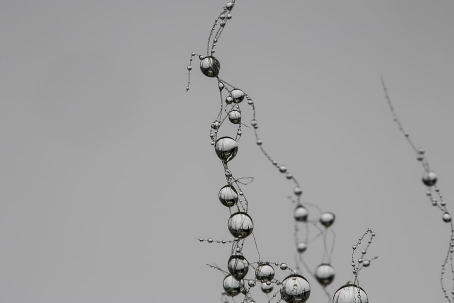 drop, network, synapse, pearl, gray, raindrop, villa, no people HD wallpaper