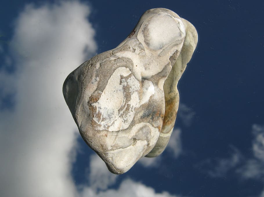 stone, reflection, sky, no people, close-up, nature, animal HD wallpaper