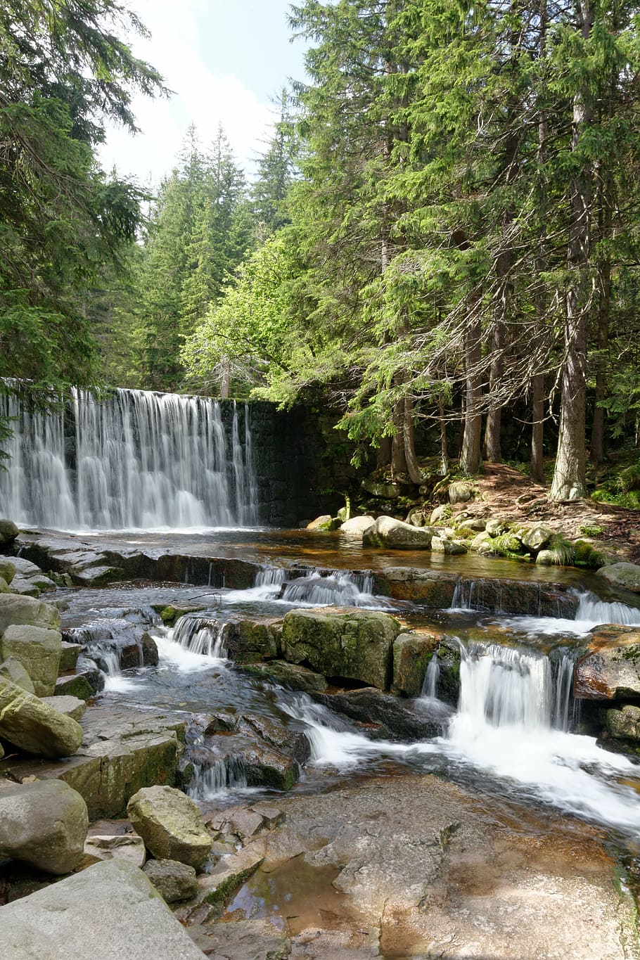 waterfall, torrent, forest, stream, nature, landscape, brook HD wallpaper