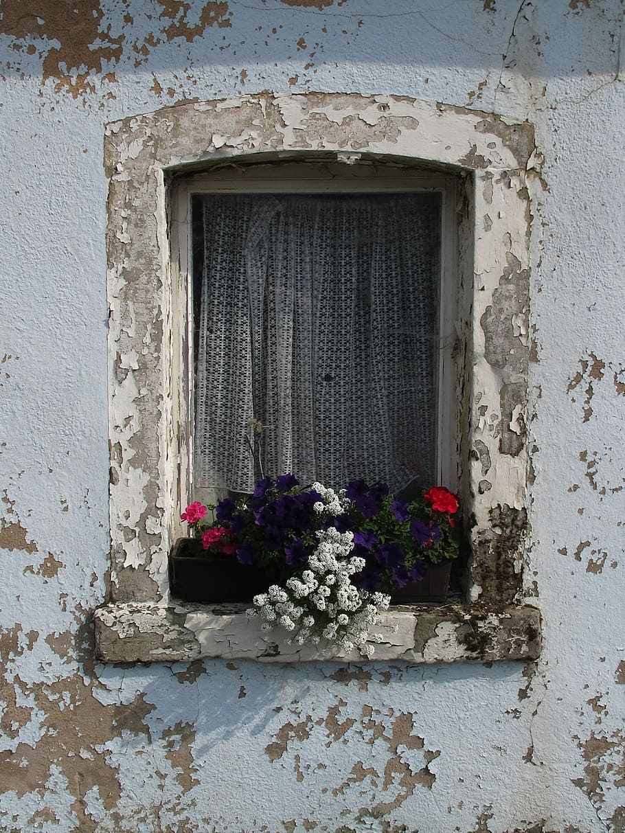 Window, Flower, Old, Facade, old window, old building, bare HD wallpaper