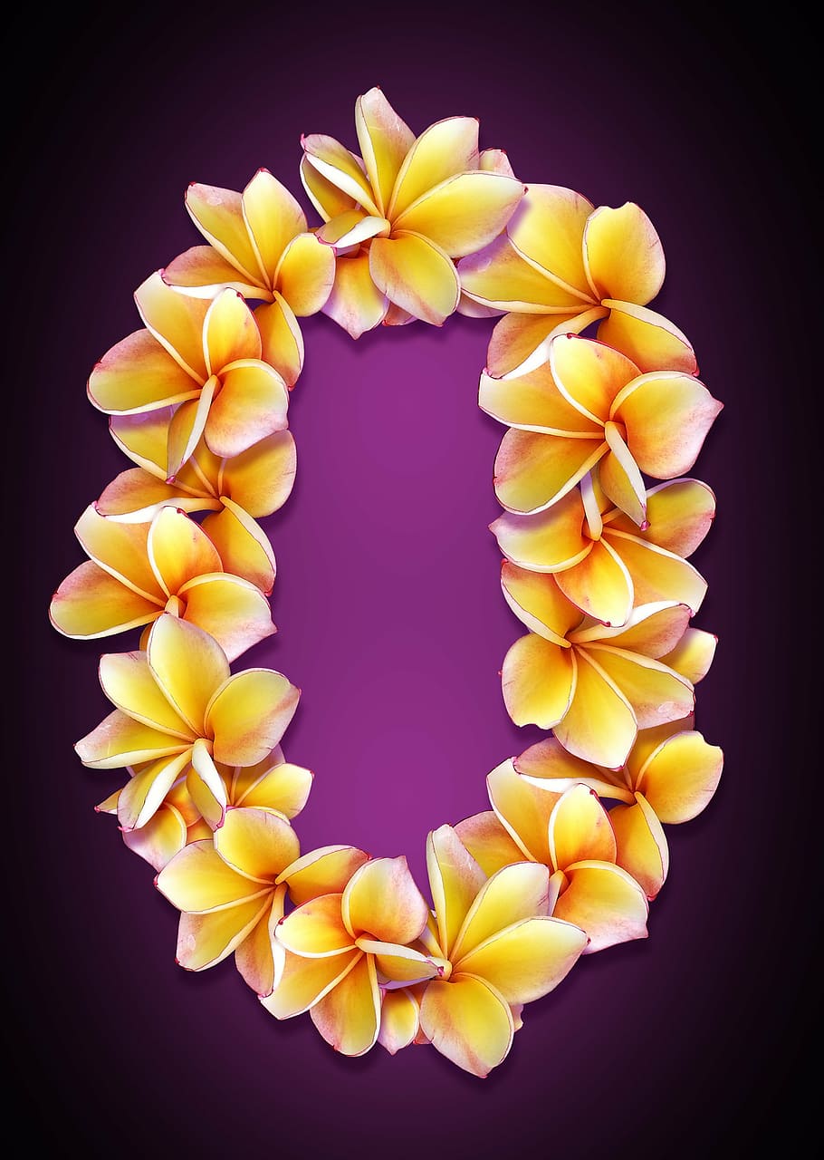 figure, date, flowers, collage, design, idea, bright, color HD wallpaper
