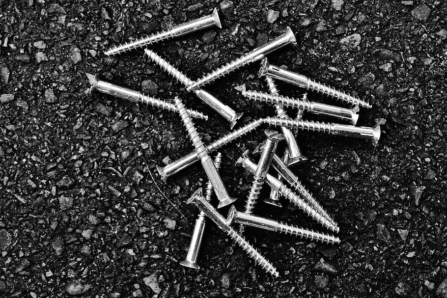 screw, slotted screws, silver, directly above, high angle view HD wallpaper