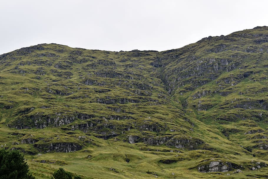 hillside, mountain, landscape, scotland, highlands, beauty in nature HD wallpaper