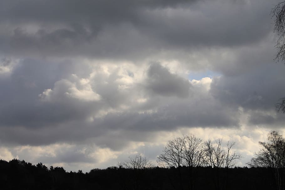 cloudiness, sky, atmosphere, weather, clouds, cloud - sky, tree HD wallpaper