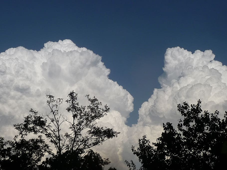 sky, thunderstorm, cloud, clouds, blue, white, tree, cloud - sky HD wallpaper