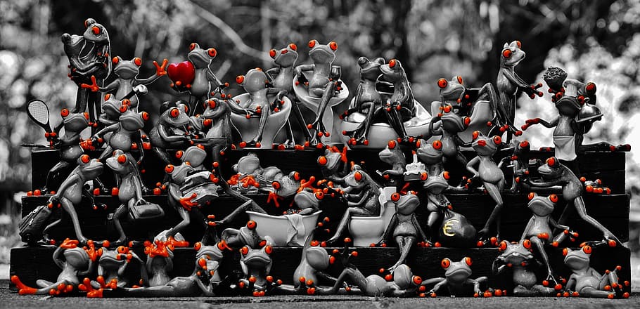 selective color photography of frogs, many, frog assembly, cute HD wallpaper