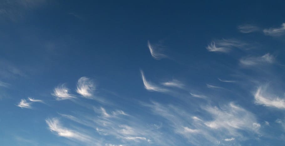 Clouds, Sky, Blue, Blue Sky, blue sky clouds, blue sky background HD wallpaper