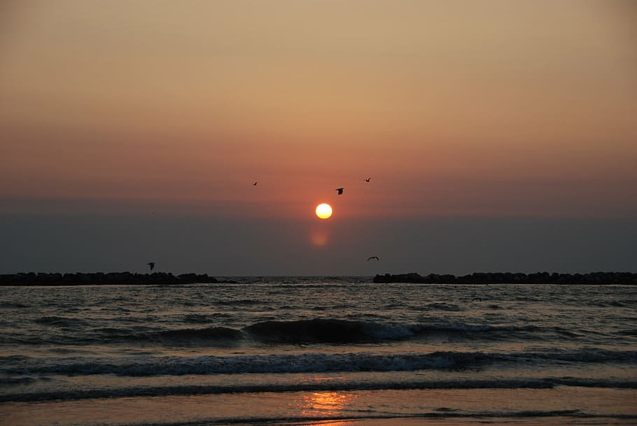 dawn, sea, waves, horizon, summer, sun, water, beach, sky, tranquility HD wallpaper