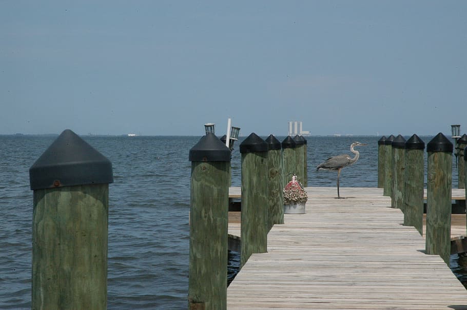 Dock, Crane, Florida, Pier, Miami, Bay, beaches, coastline HD wallpaper