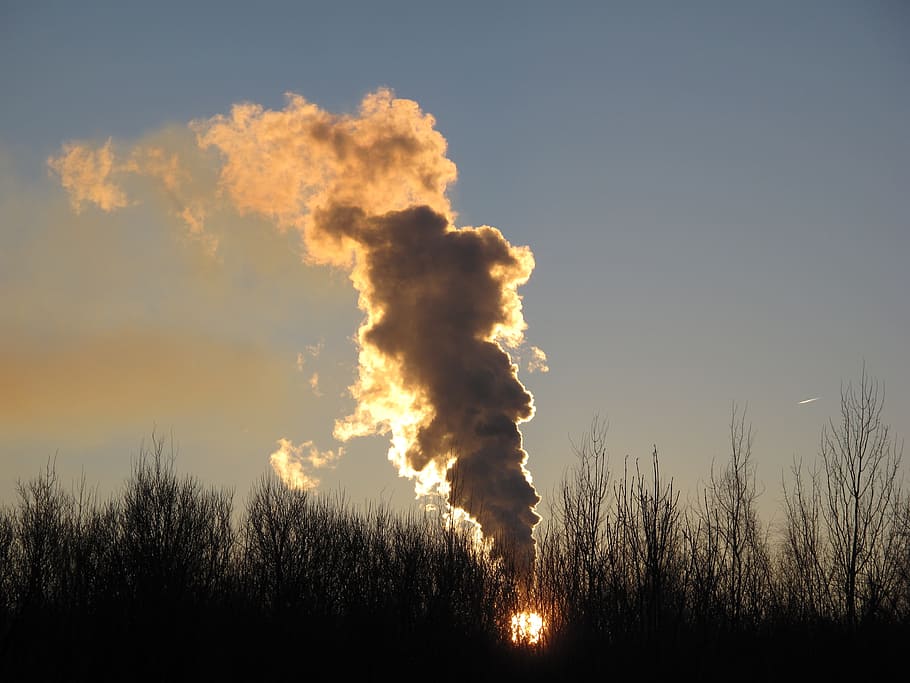 Fire, Forest, Grass, industry, pollution, air pollution, smoke - physical structure HD wallpaper