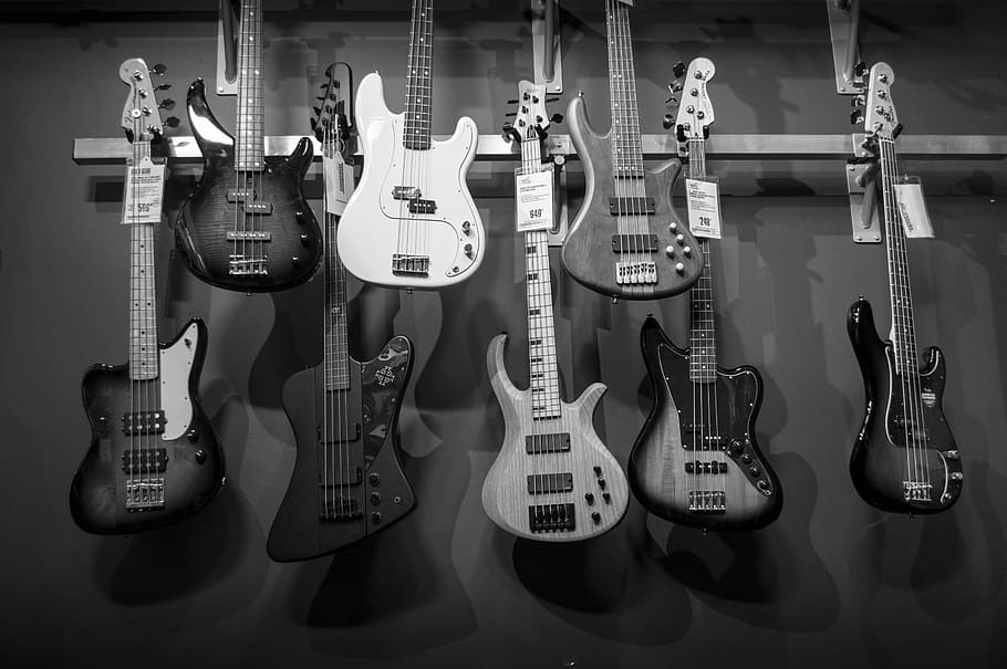 acoustics, bass guitars, black-and-white, collection, design, HD wallpaper