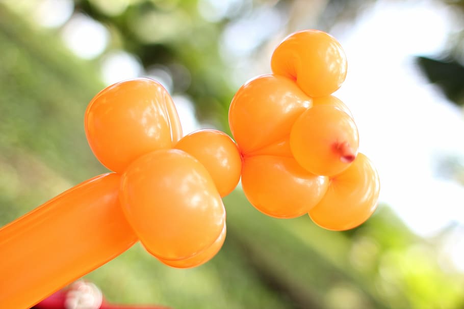 balloon, bear, toy, party, gift, teddy, cute, food, group of objects HD wallpaper