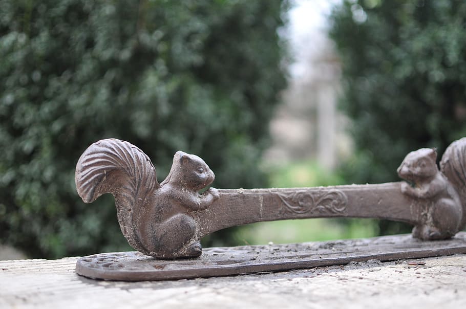 Doormat, Squirrel, Iron, animal wildlife, outdoors, animals in the wild HD wallpaper