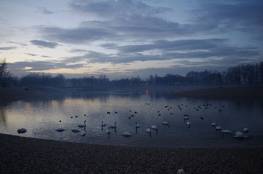dusk, evening, dark, darkness, dawn, water, lake, pond, sky HD wallpaper