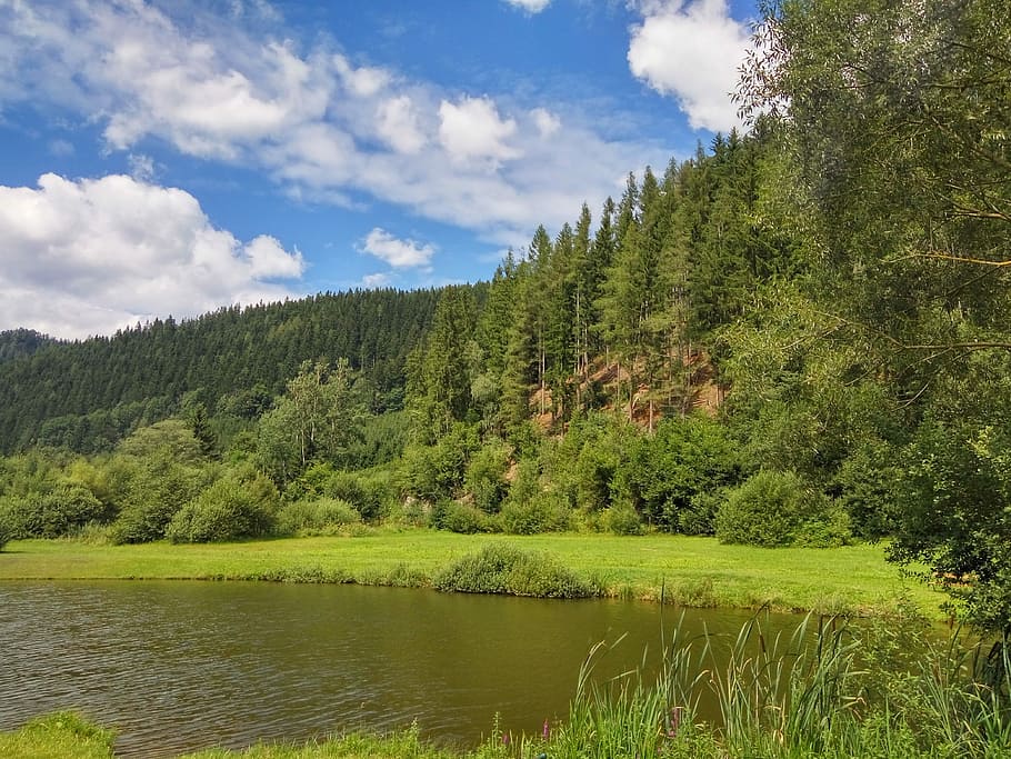 Sky, Clouds, Form, blue, clouds form, landscape, forest, river HD wallpaper