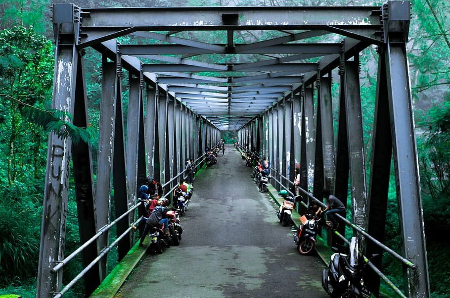 Bridge, Forest, Green, Green, Road, Crowd, the crowd, travel HD wallpaper