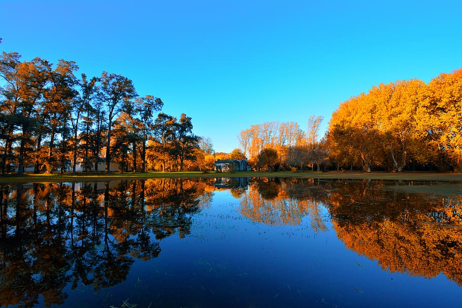 landscape, autumn, reflection, nature, trees, forest, colors HD wallpaper