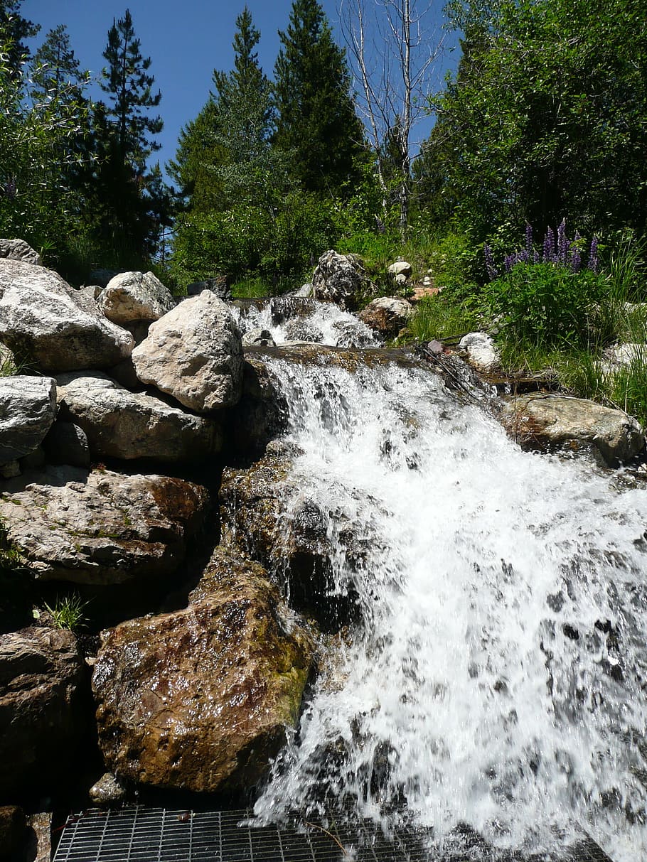 Cascade, Waterfall, forest waterfall, rockefeller preserve HD wallpaper