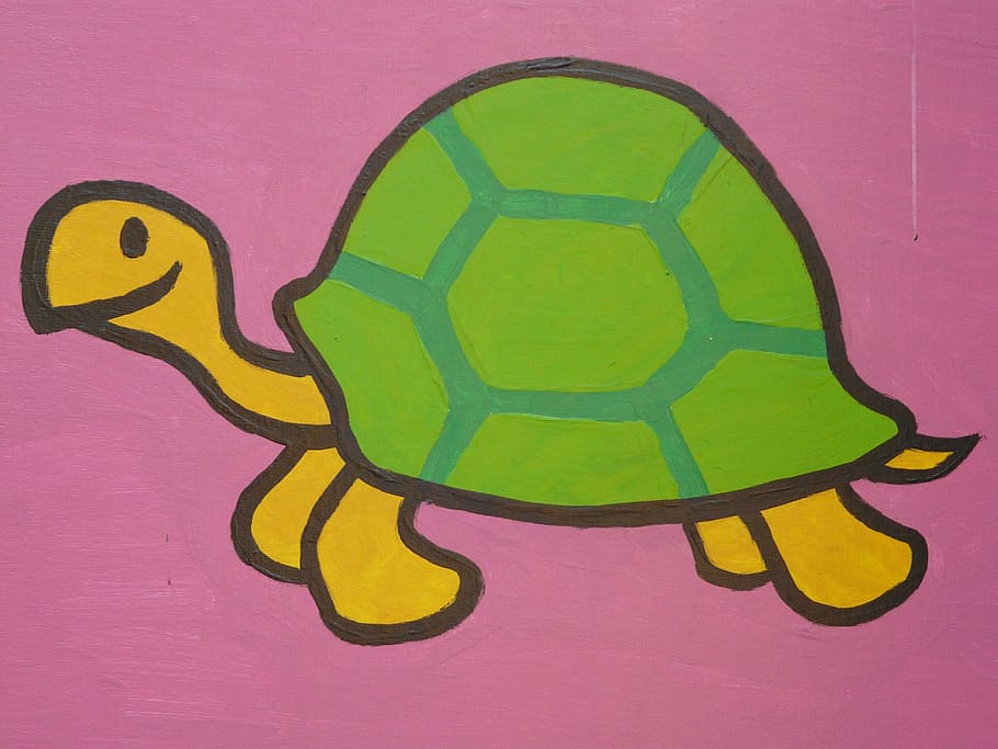 green and yellow turtle artwork, cartoon character, drawing HD wallpaper